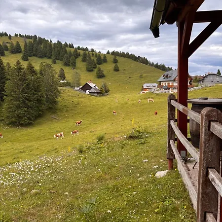 Harmony Apartmán Cerklje na Gorenjskem