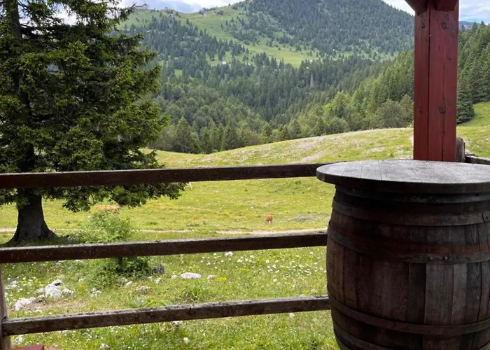 Harmony Appartement *