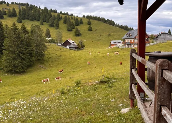 Harmony Appartement Cerklje na Gorenjskem